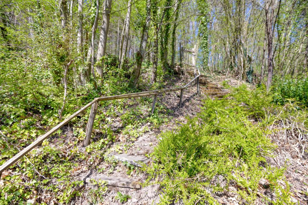 Direktzugang_Wald