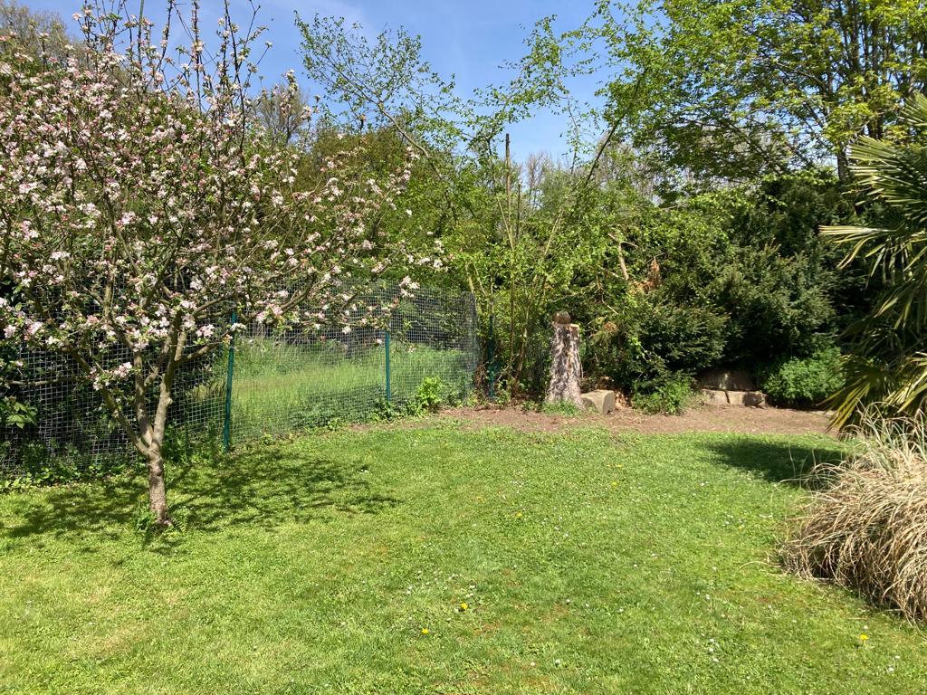Schöner Garten