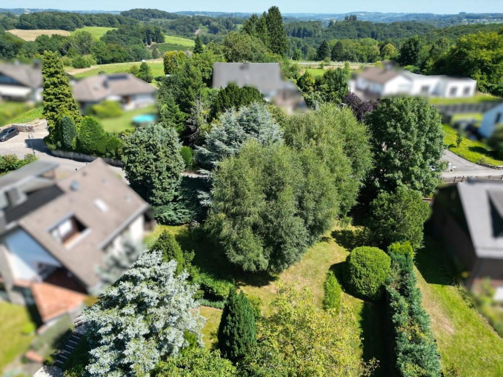 Luftbild