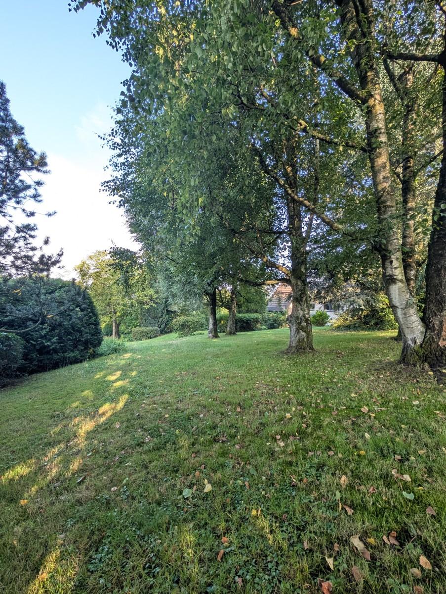 Ansicht