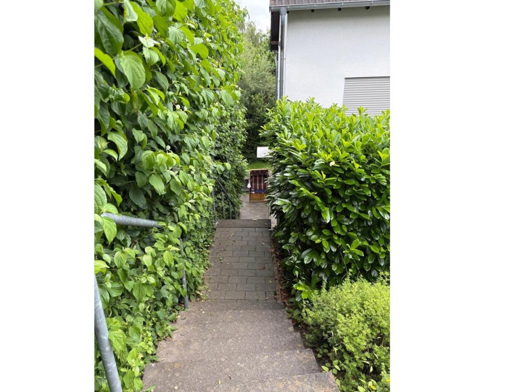 Zugang zur Wohnung