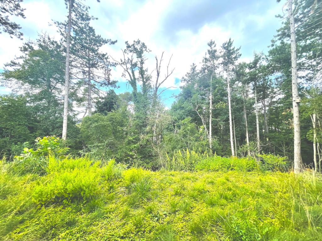 Garten und Aussicht