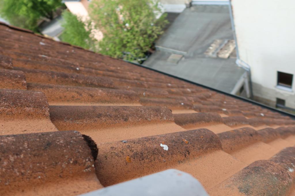 Blick aufs Dach
