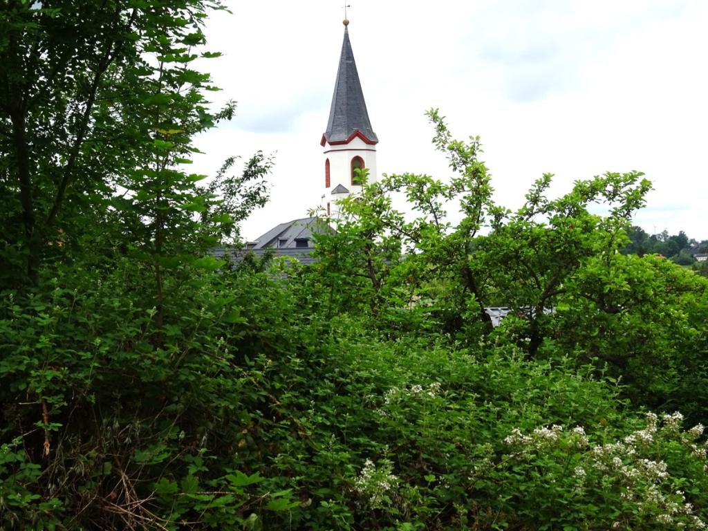 DSC02322