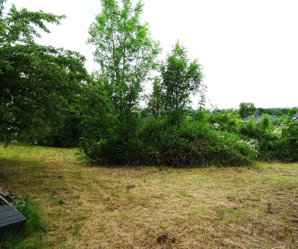 DSC02315
