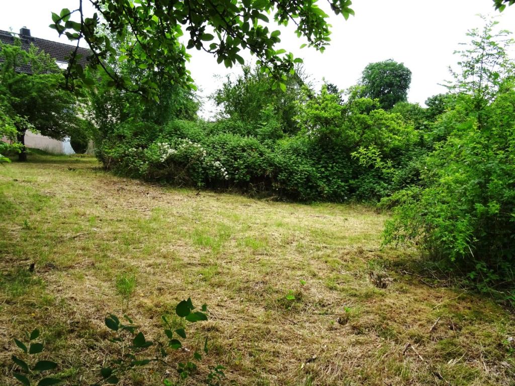 DSC02320