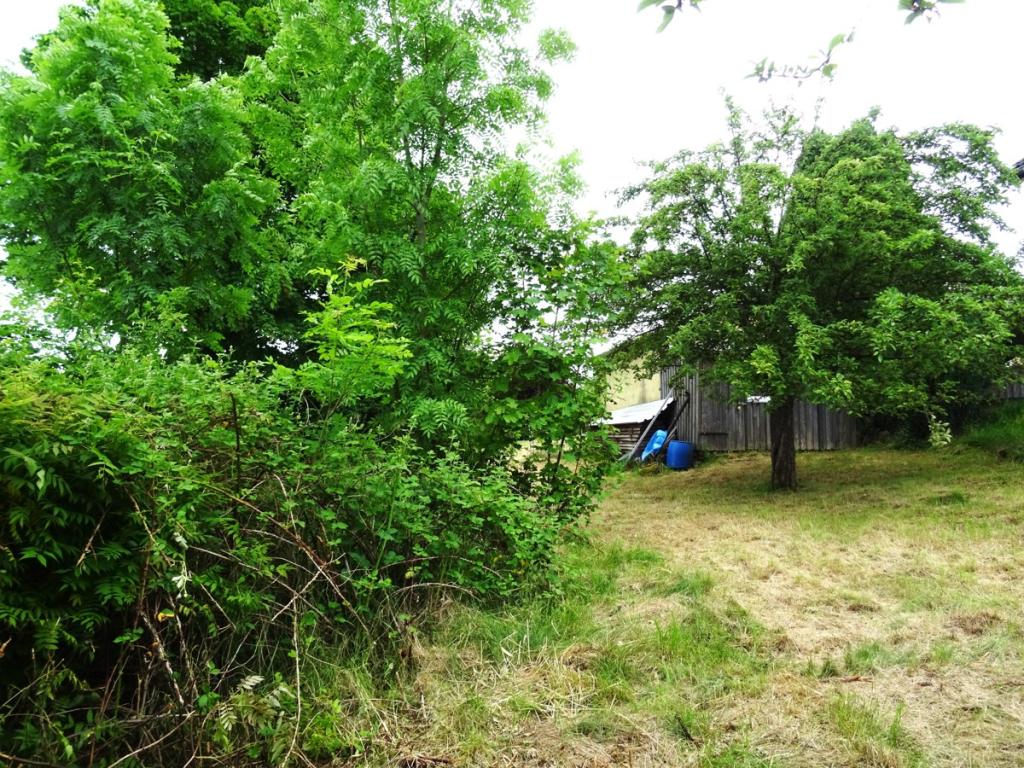 DSC02317