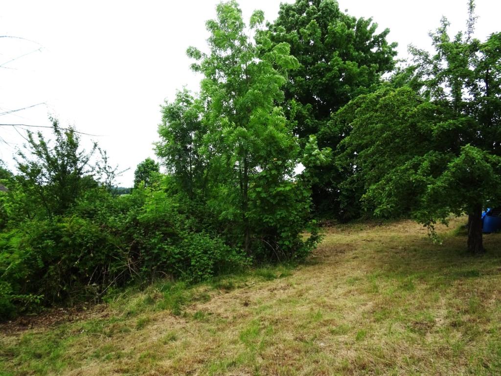 DSC02316