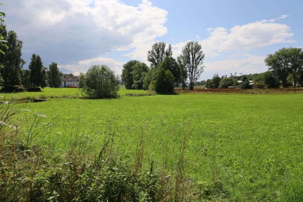 Ansicht landw. Fläche