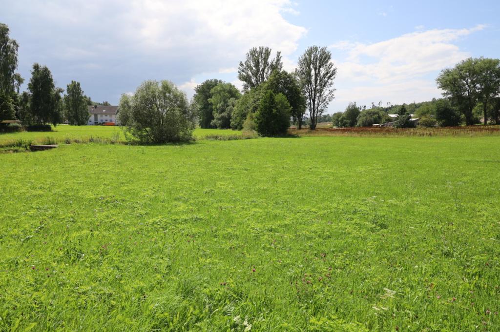 Landwirtschaftsfläche