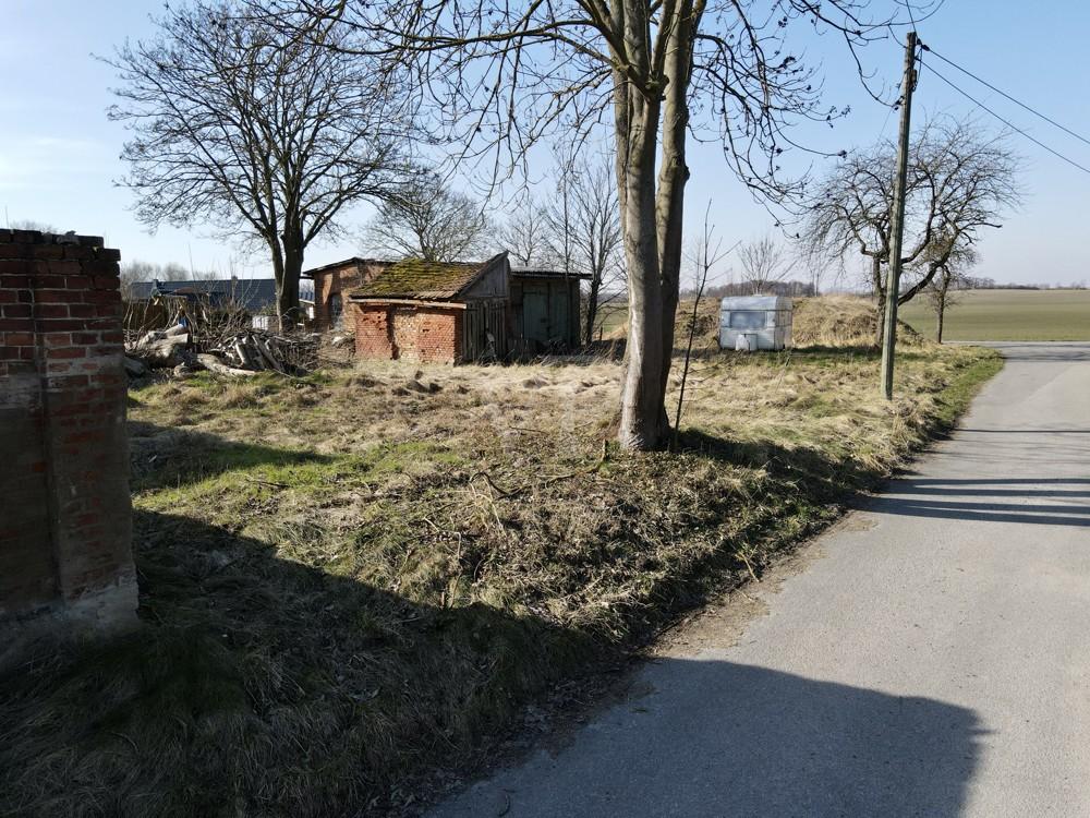 Blick nach hinten