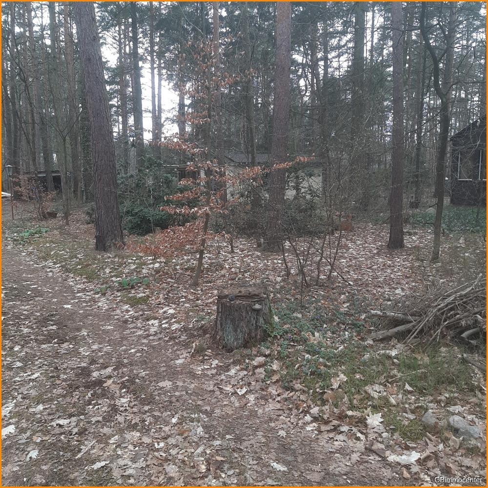 weiterer BG hinten