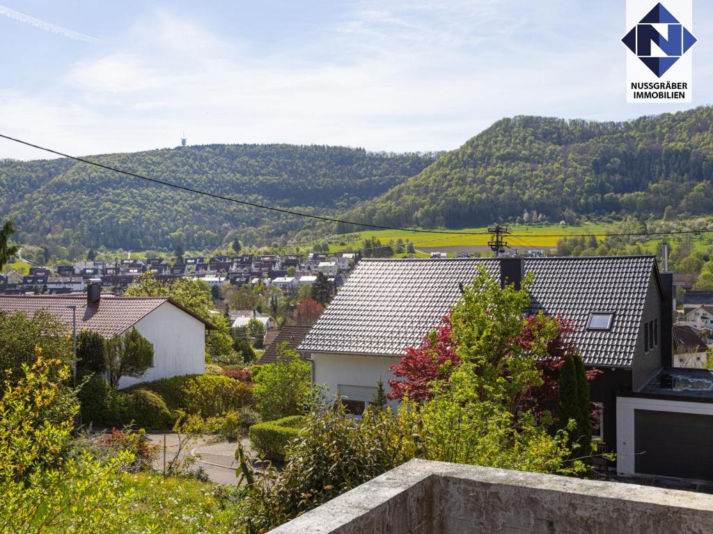 Ausblick