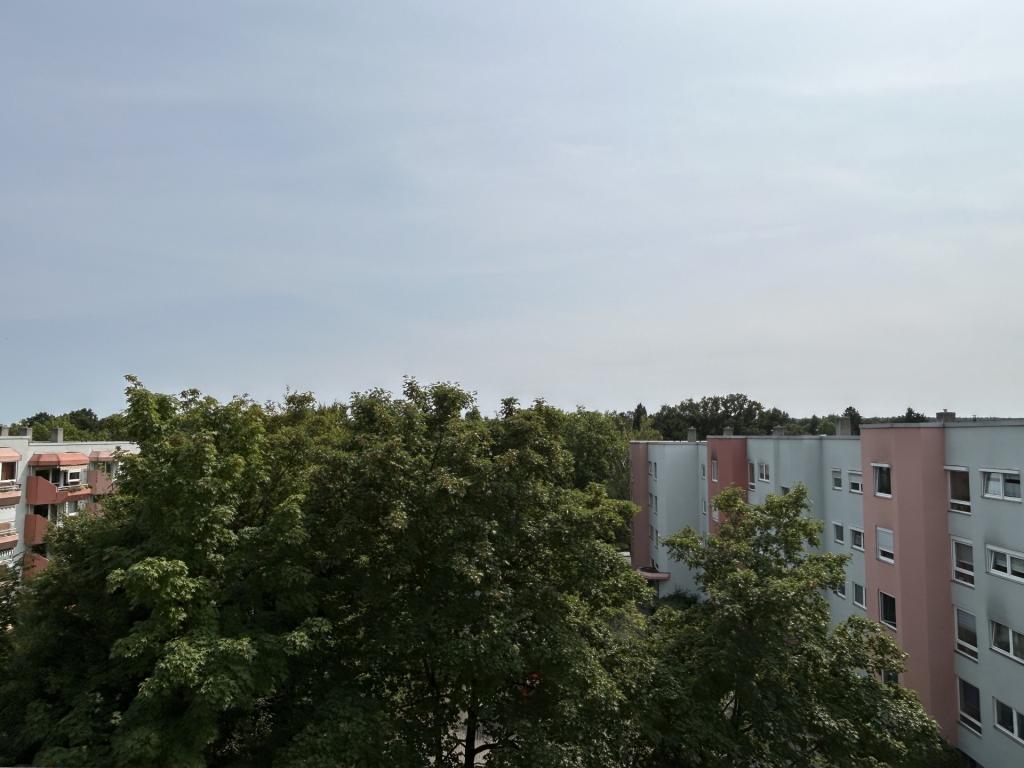 Ausblick