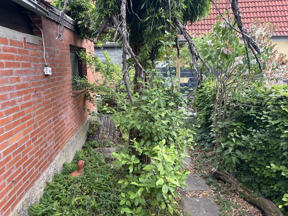 Ansicht 4