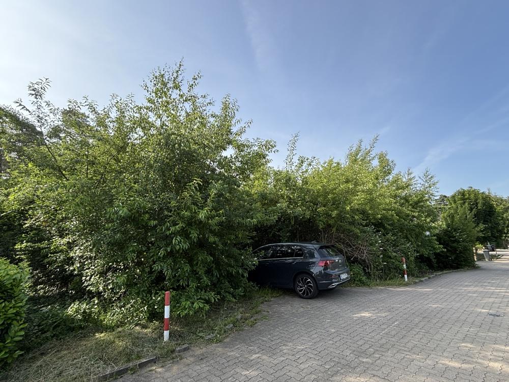 Grundstück in ruhiger Wohnstraße