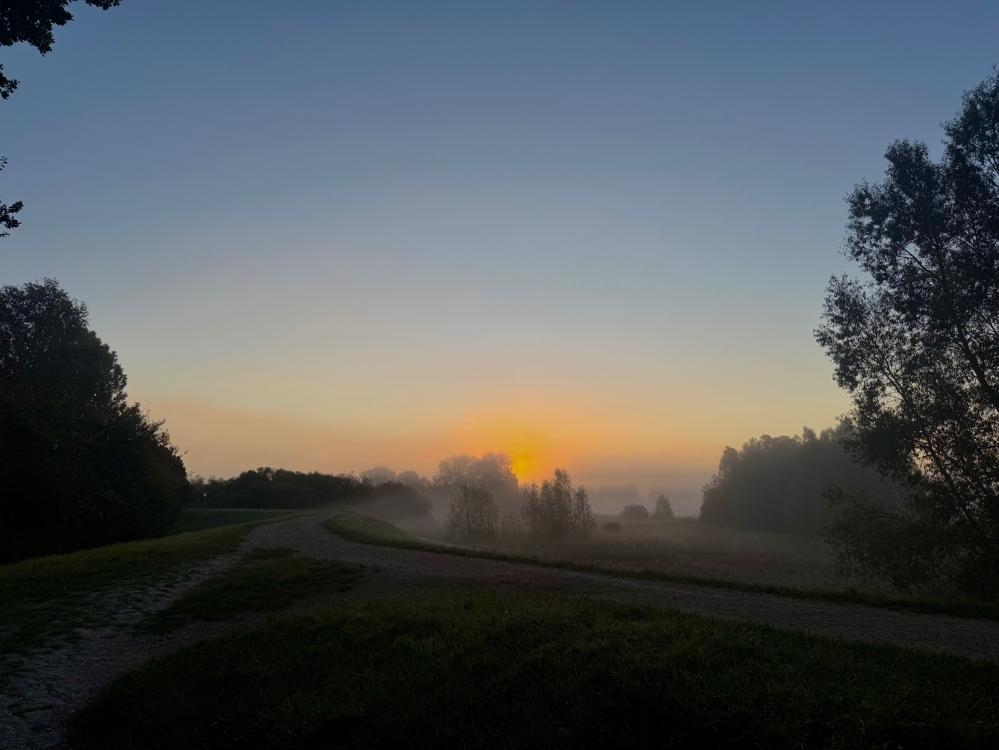 Traumhafte Natur vor der Tür! Kurz vor Sonnenaufgang auf dem Deich!