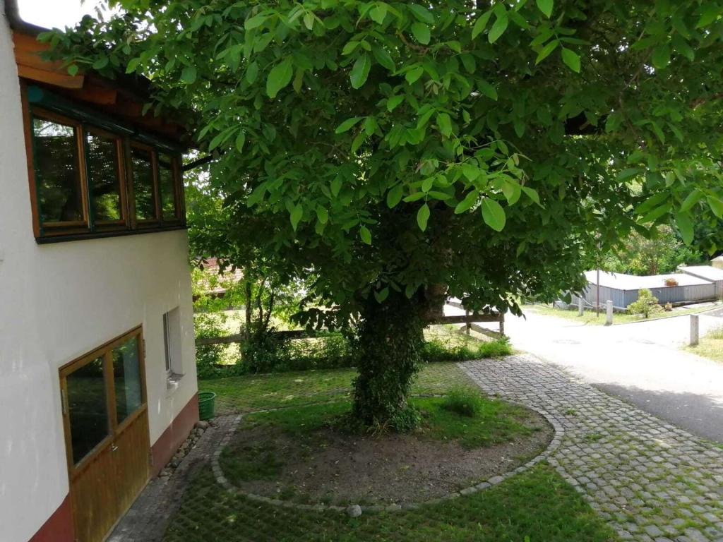 Hof vor dem Haus