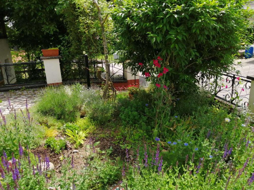 Kräutergarten