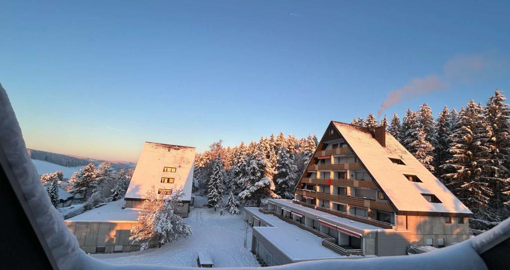 Zuhause im Schwarzwald