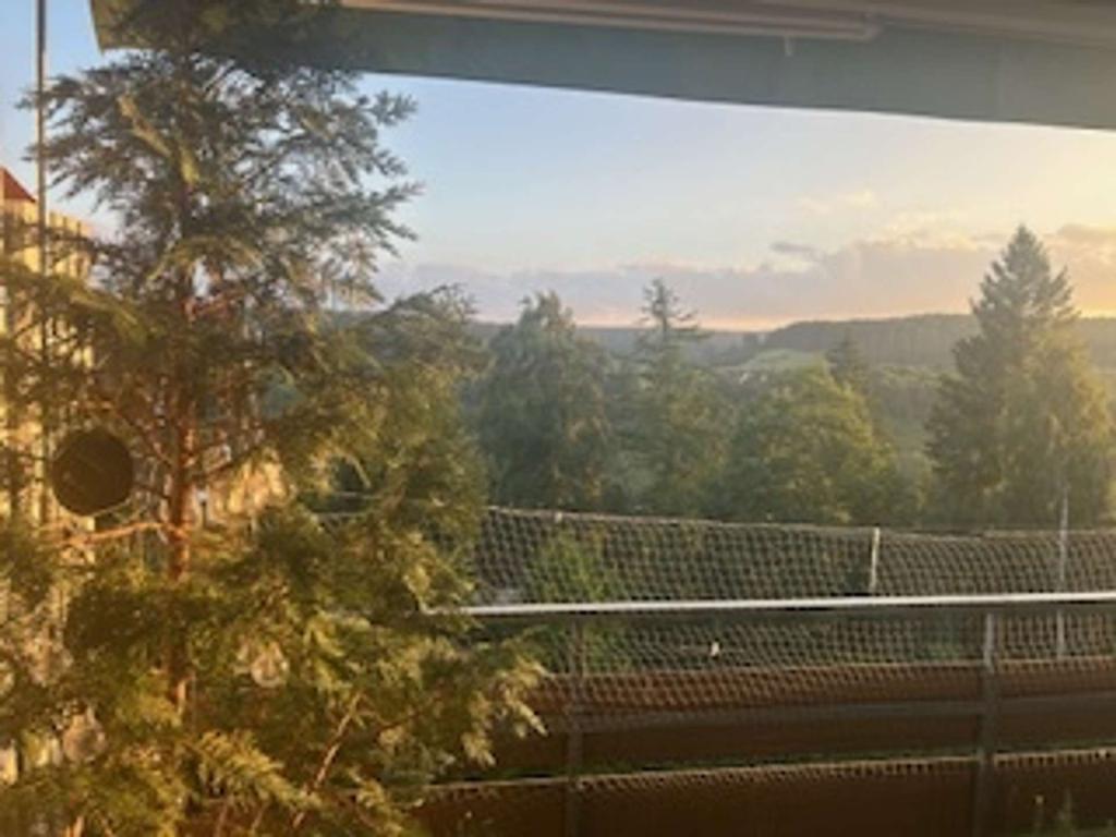 Ausblick