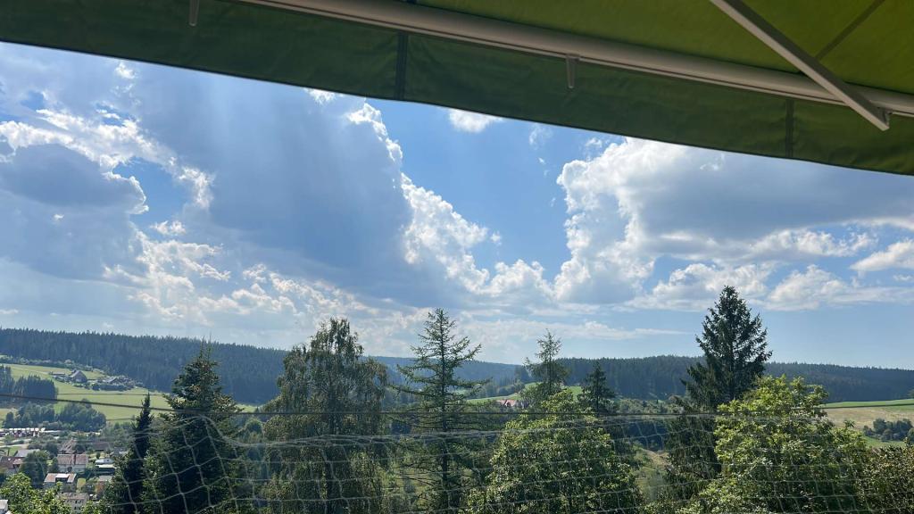 Ausblick