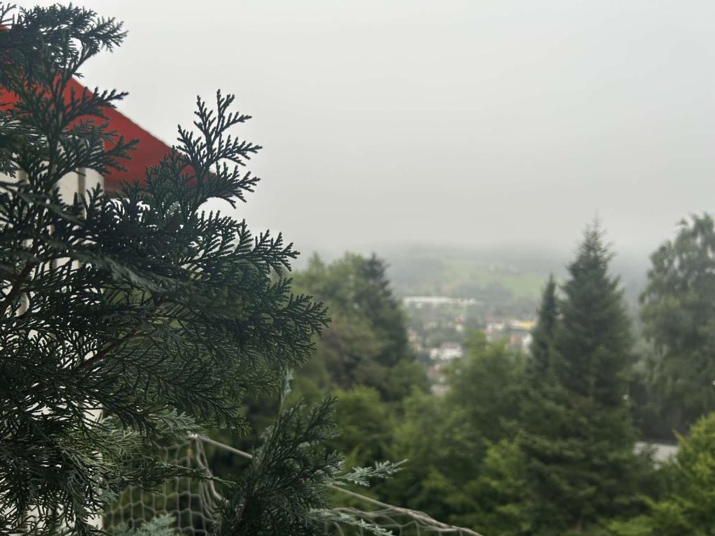 Ausblick