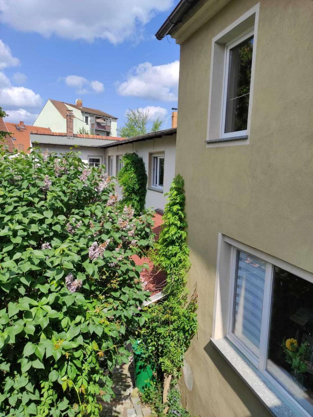 Balkonblick