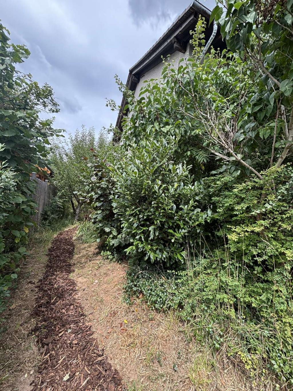 Garten Westseite