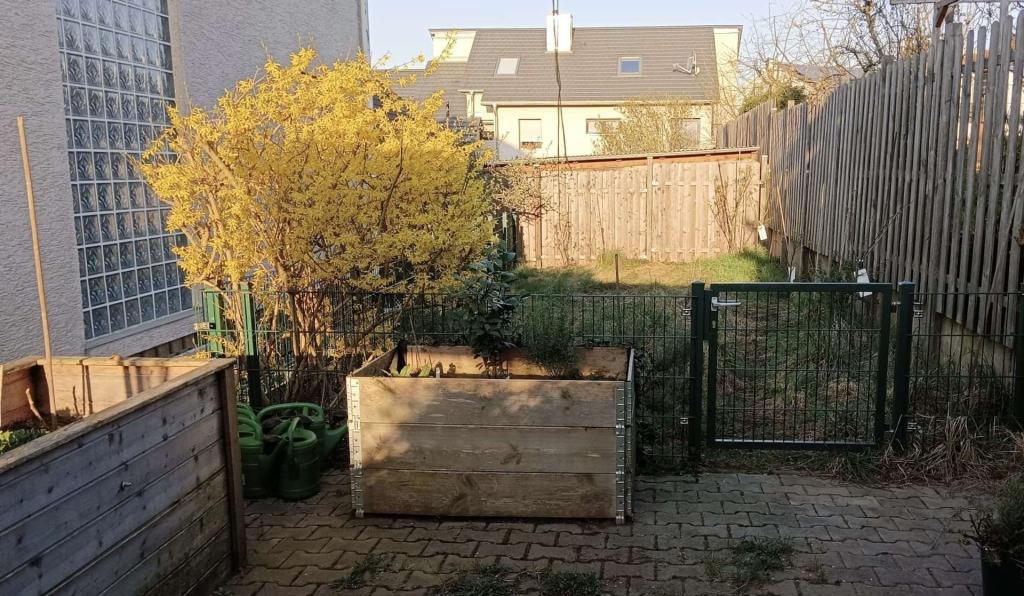 Eingezäunte Wiese zum Spielen