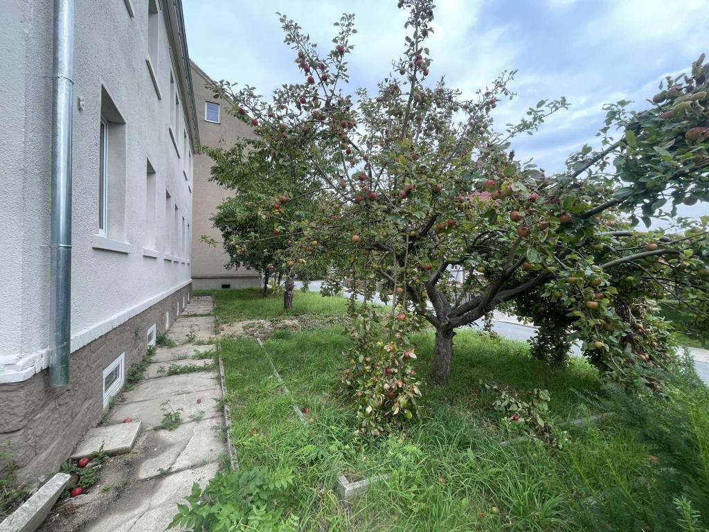 Obstvorgarten