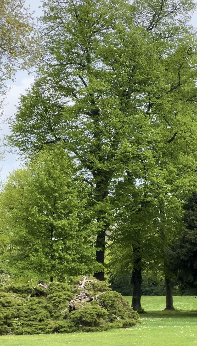 Park direkt vor der Türe  