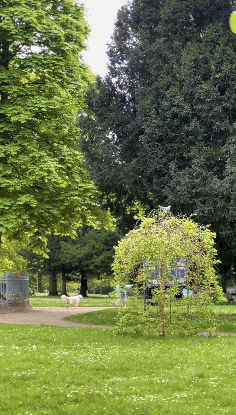 Park direkt vor der Türe 