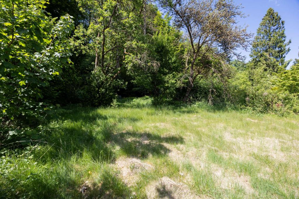 Garten mit Blick zum Naturschutzgebiet