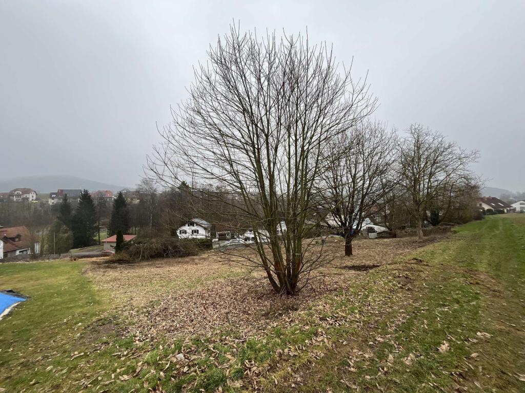 Ansicht von Feld rechts