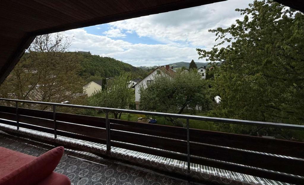 Panoramablick aufs Schloss