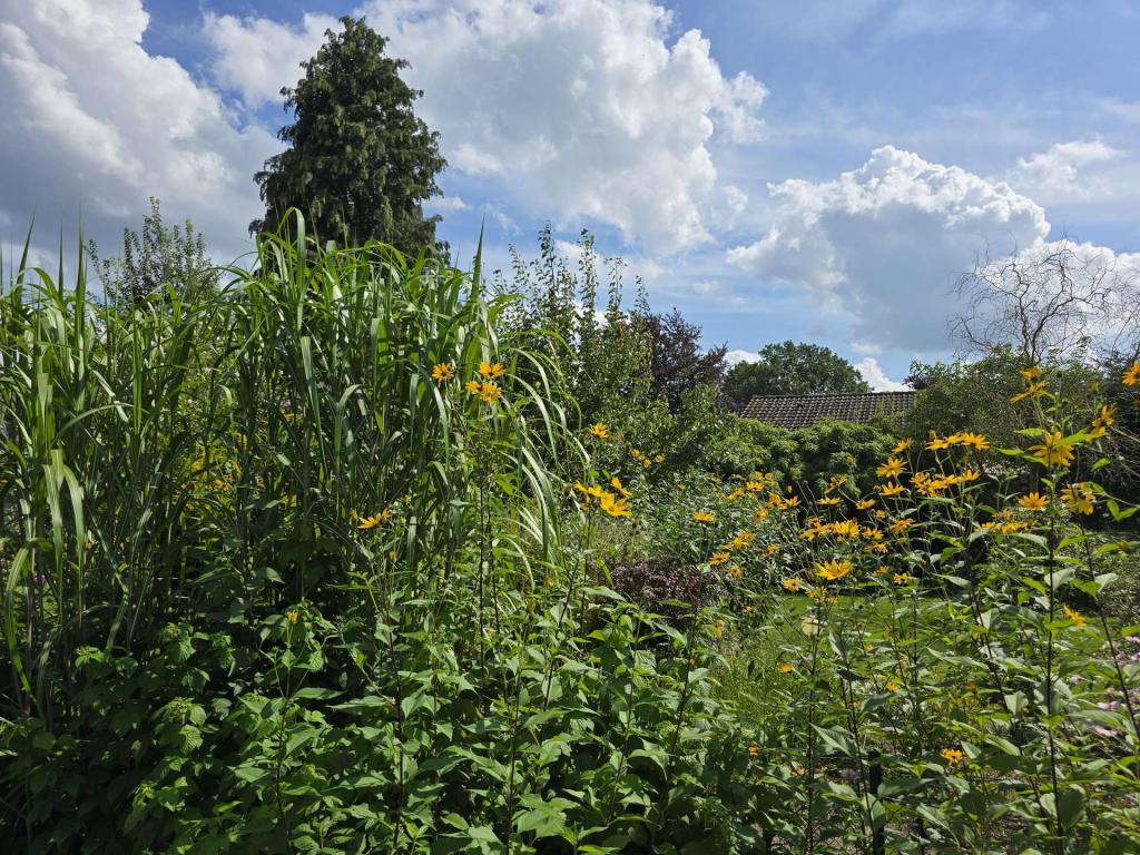 Sommerimpressionen