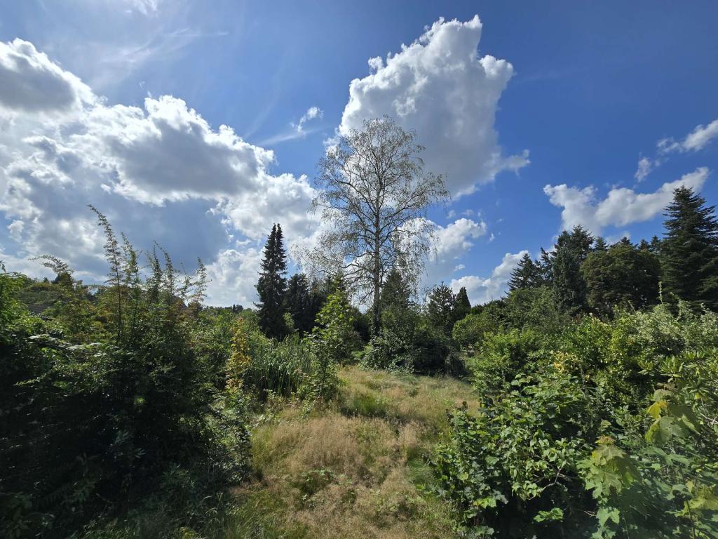 Sonnenverwöhnter Garten
