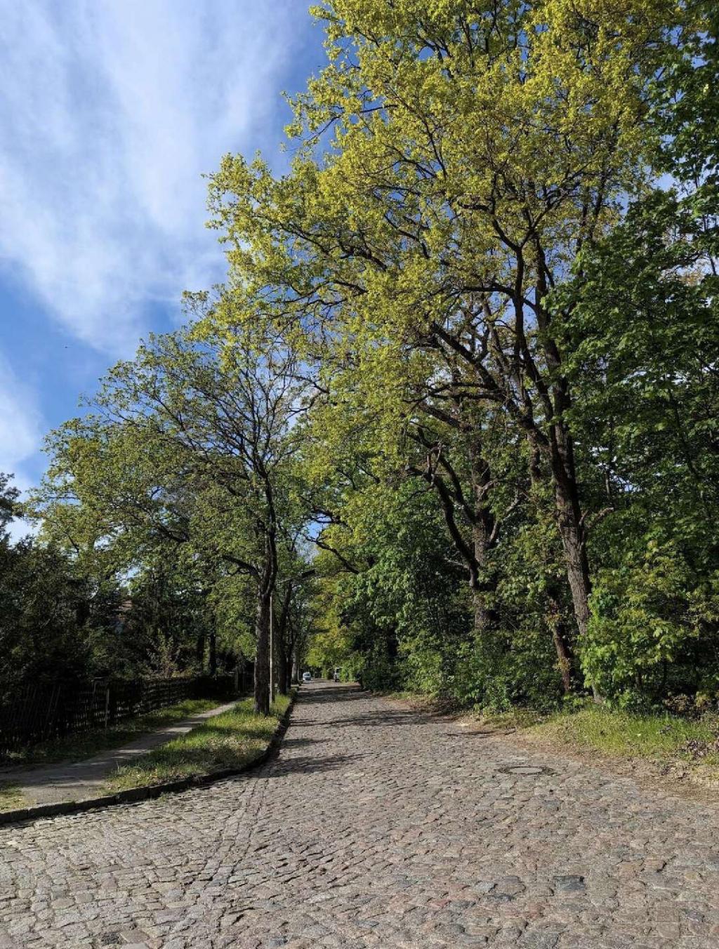Die Straße