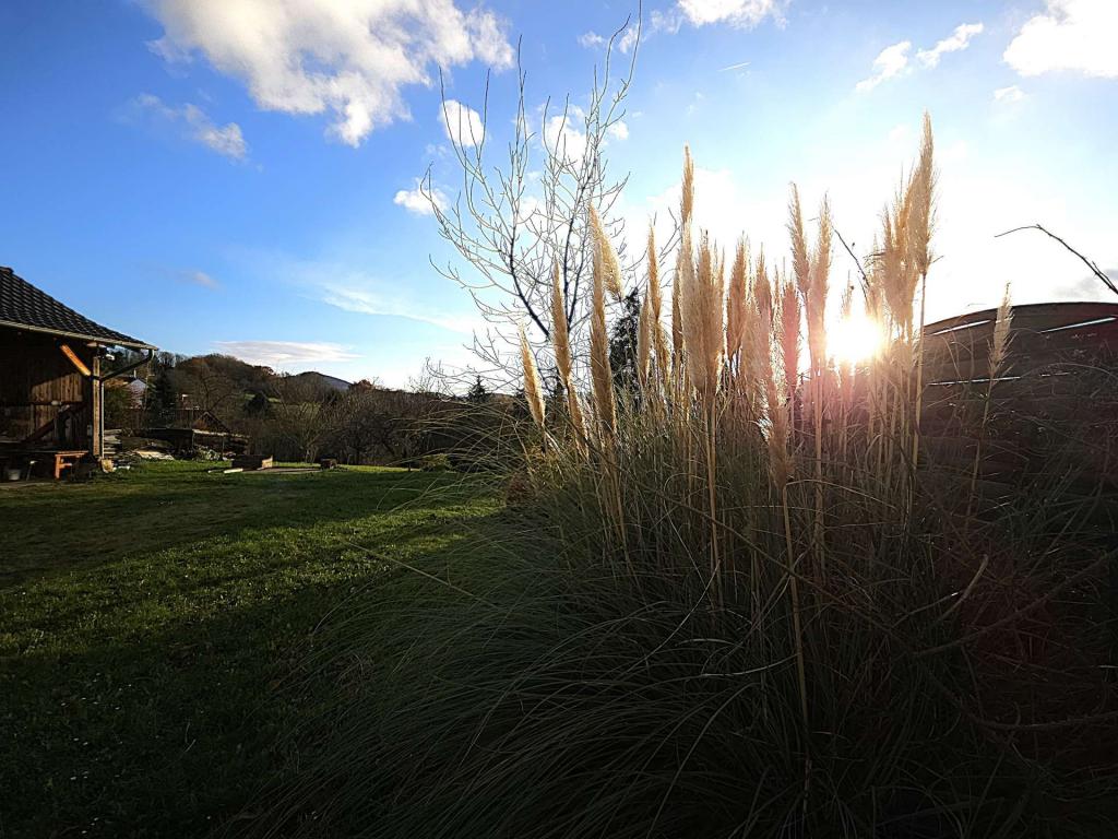 Gartenblick