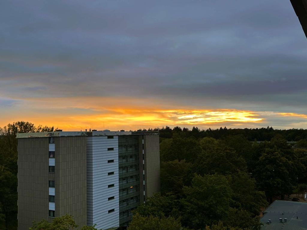 Ausblick