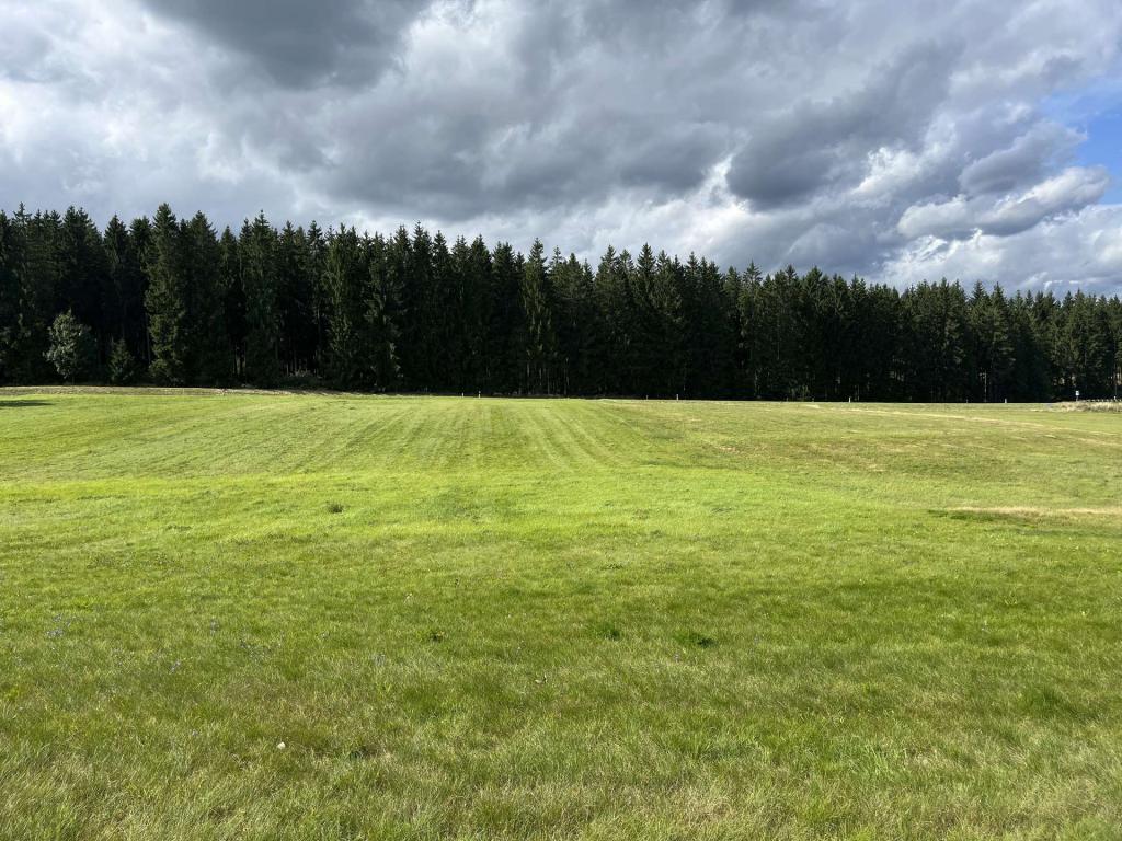 Wiesenfläche