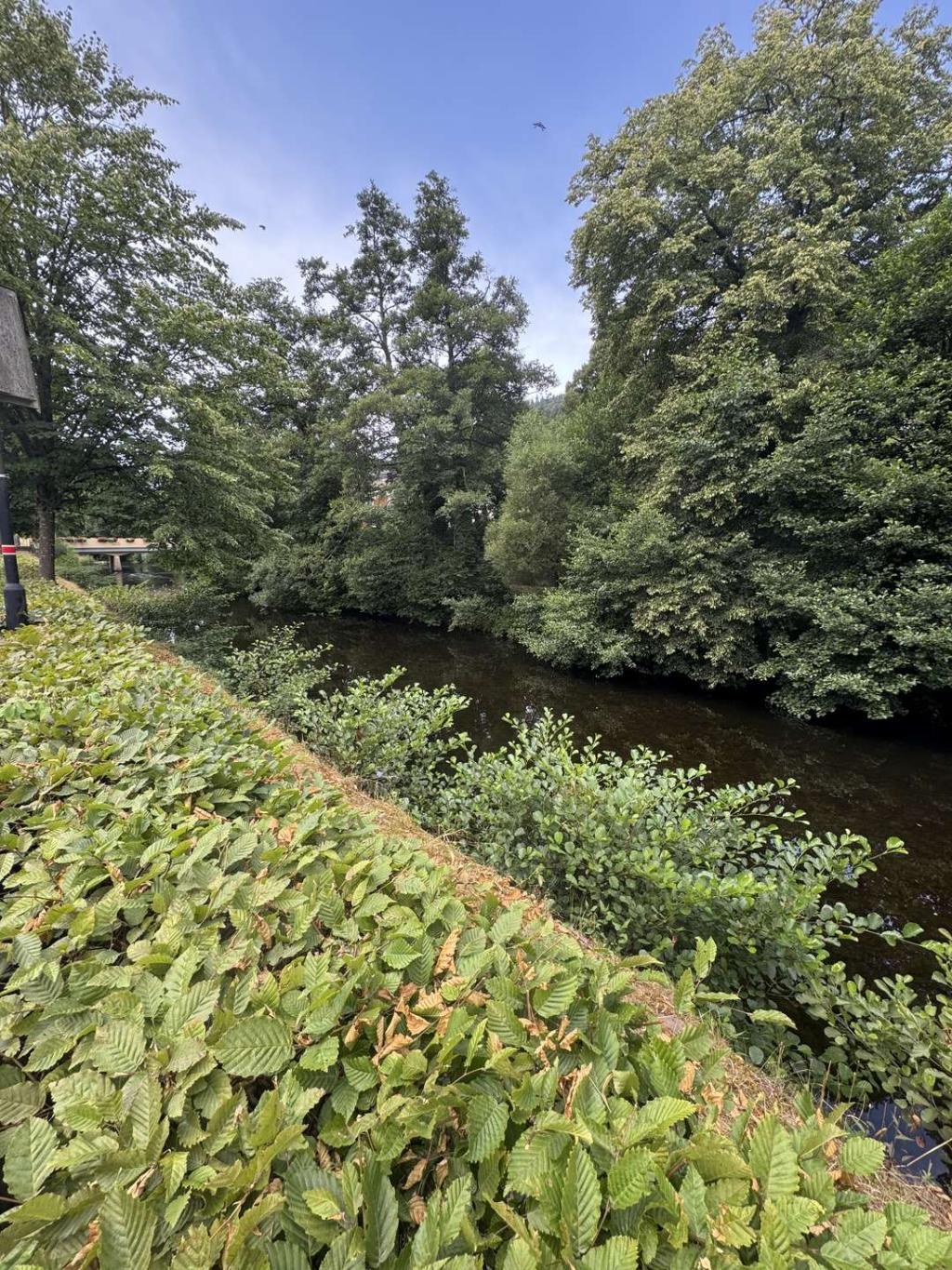 Fluss gegenüber