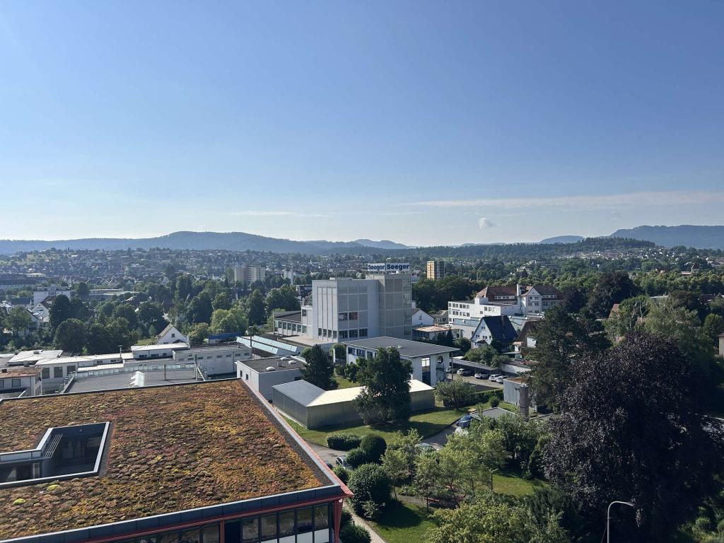 Blickrichtung Süd/Seerosengarten