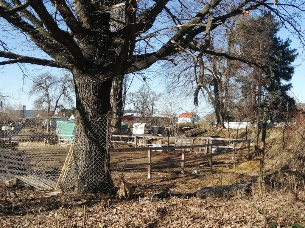 IMG_20220308_141354 - Kopie