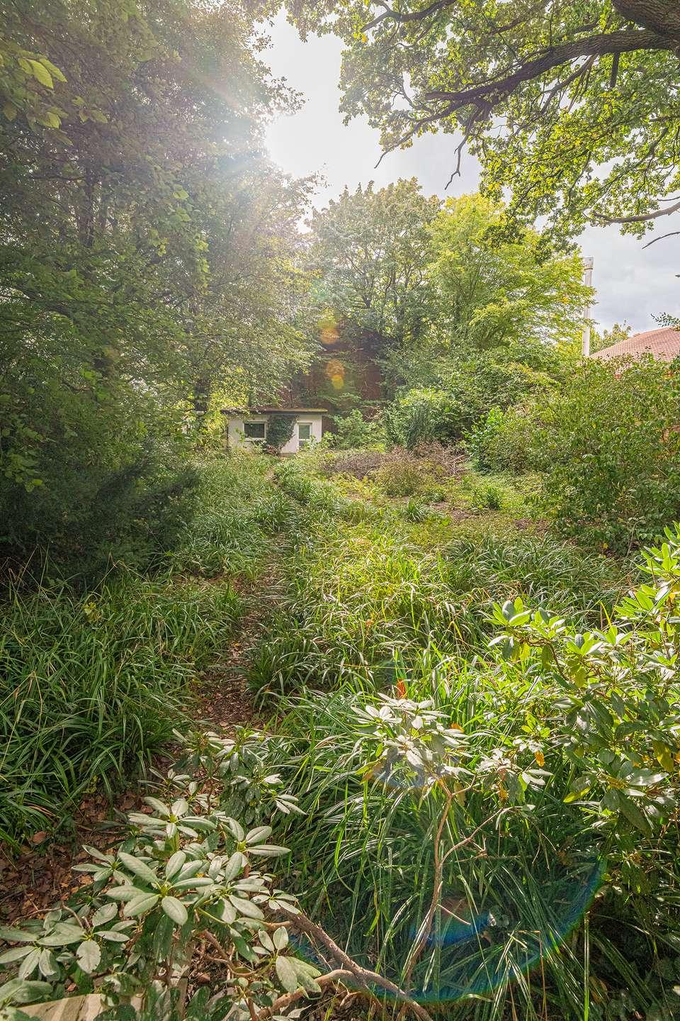 Gartenhaus / Garten