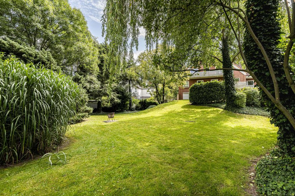 Gemeinschaftsgarten 3