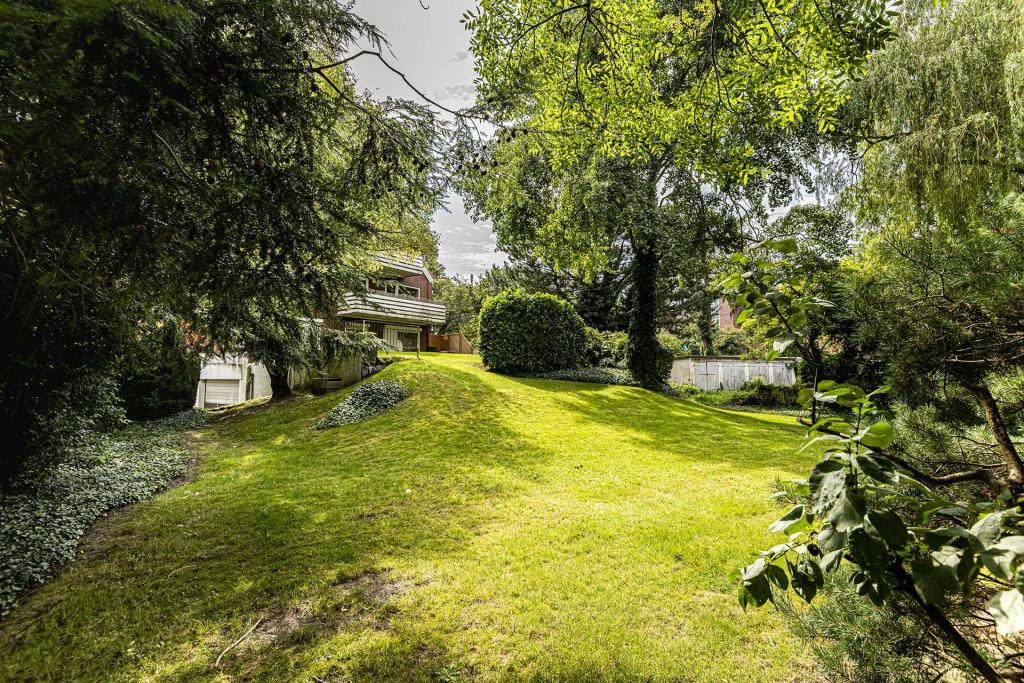 Gemeinschaftsgarten 2
