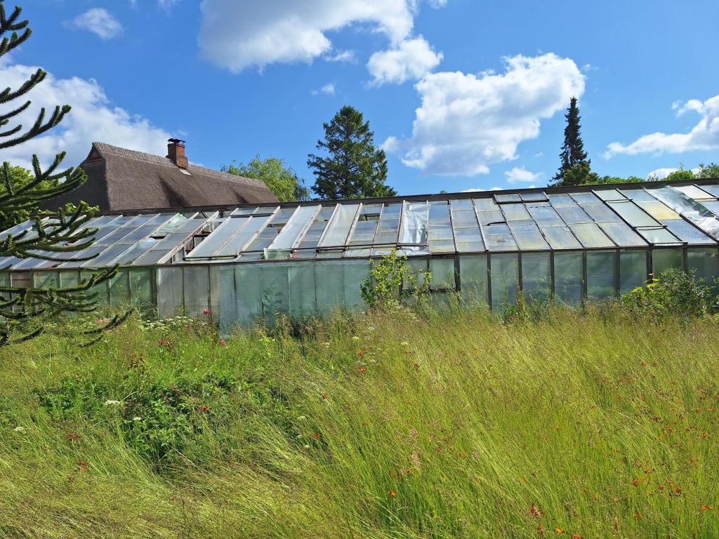 Blick auf das Gewächshaus