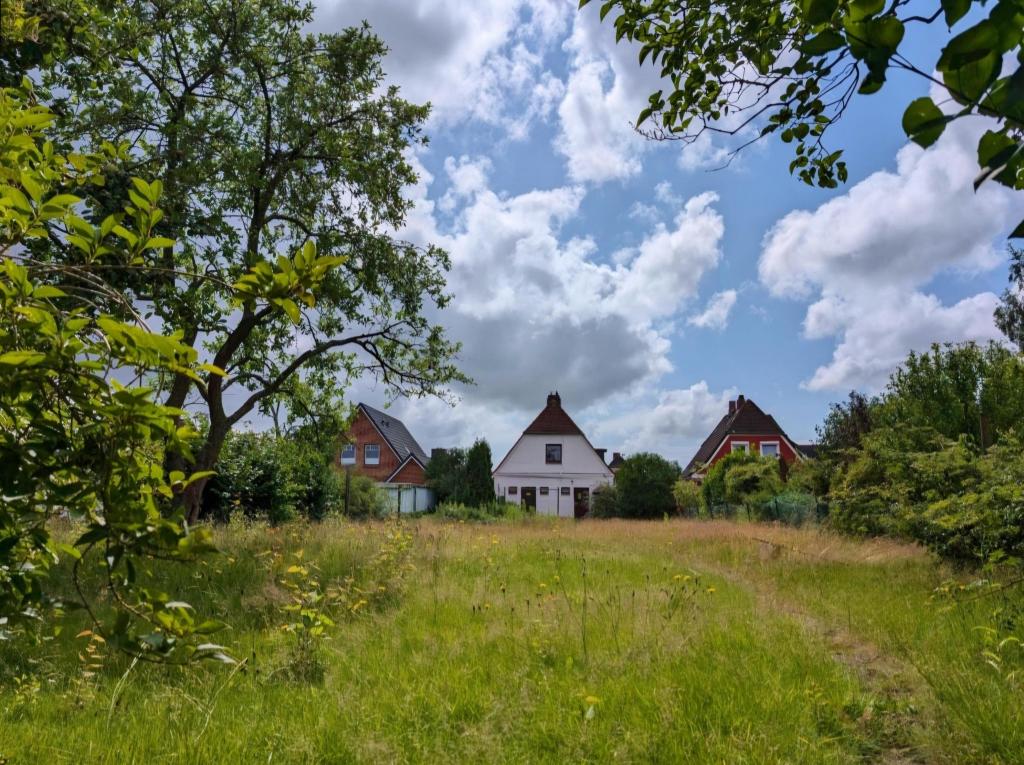 Blick vom Ende des Gartens